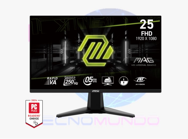Monitor MSI 25" 255XFV 250HZ 0.5MS